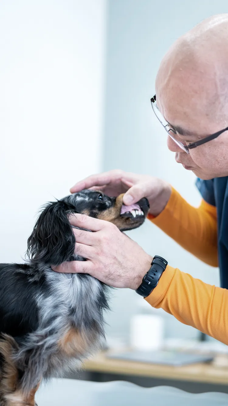 本牧通り動物病院の外観