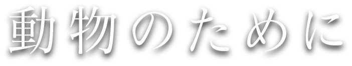 本牧通り動物病院
