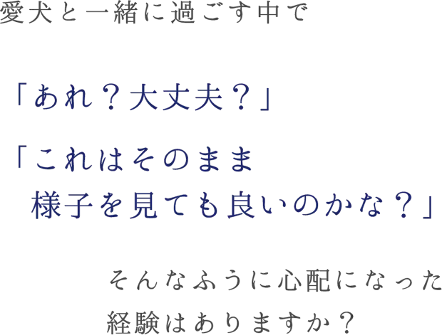 愛犬と一緒に過ごす中で 「あれ？大丈夫？」 「これはそのまま様子を見ても良いのかな？」そんなふうに心配になった
                経験はありますか？
