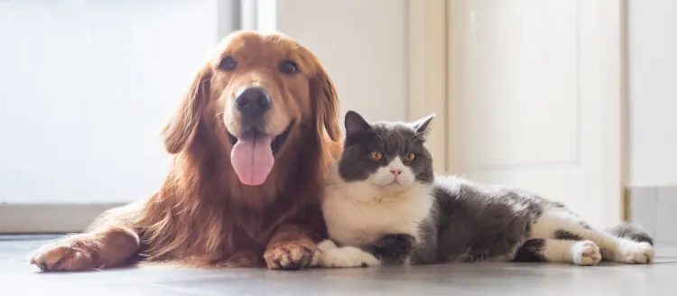 勤務をご希望の方への画像