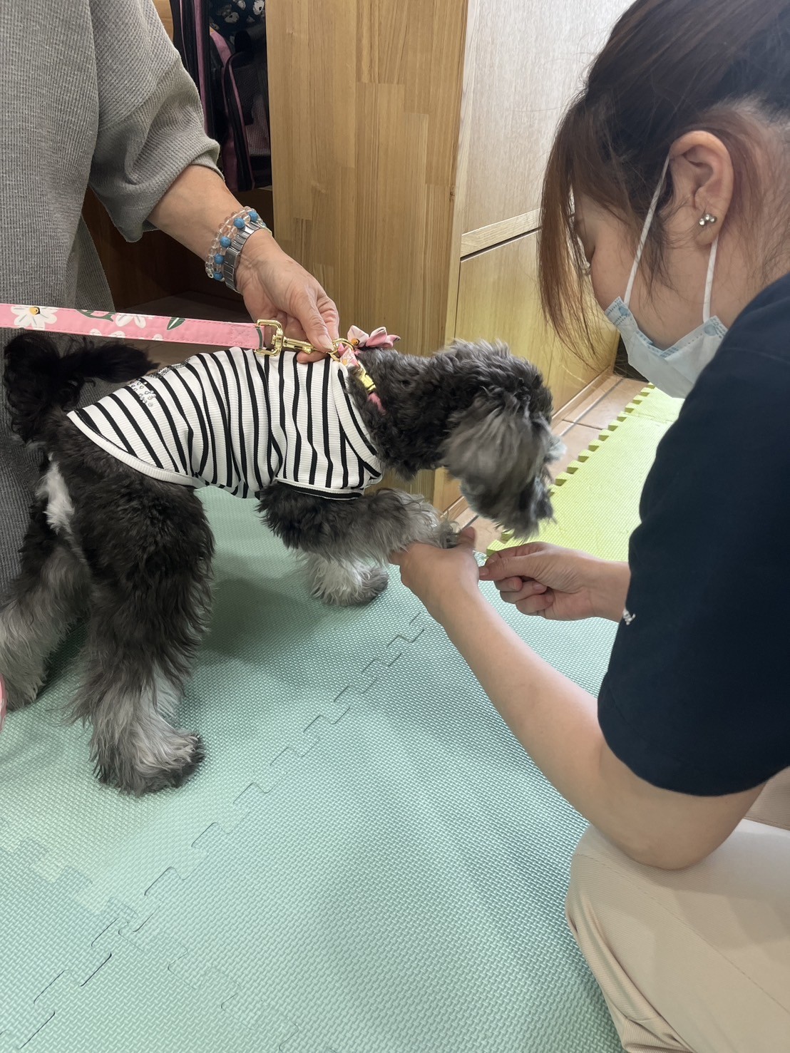 パピーパーティ第4回開催✨